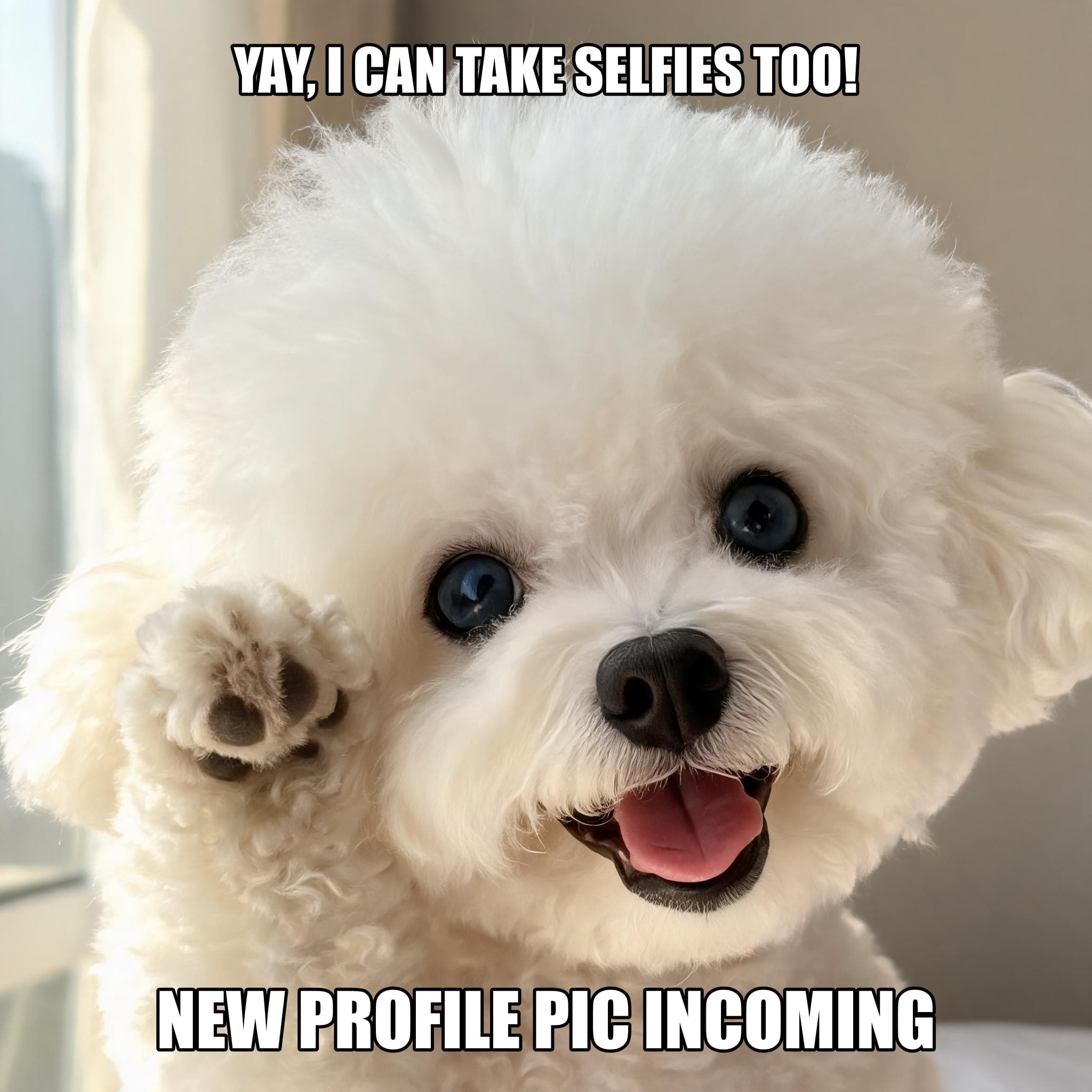 Selfie dog meme variant — confident selfie pose, bright eyes