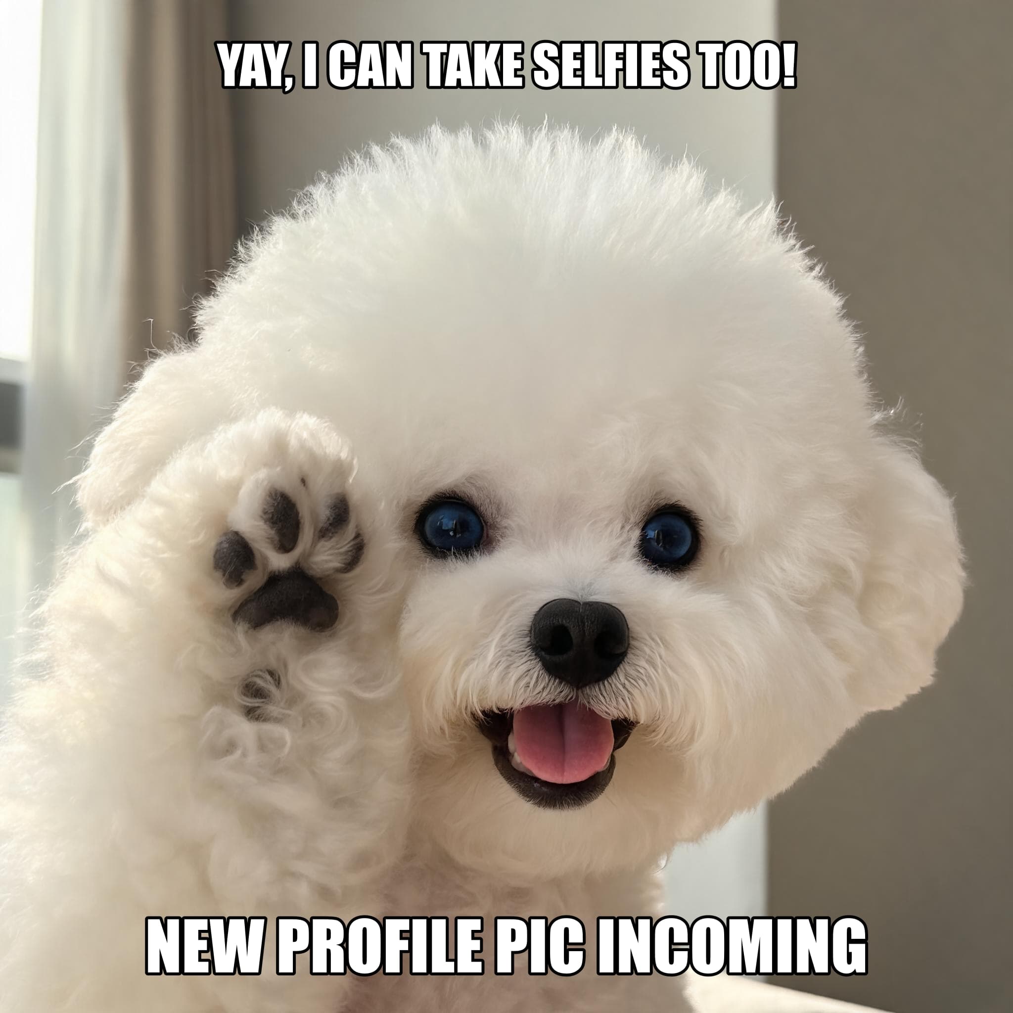 Selfie Dog Meme